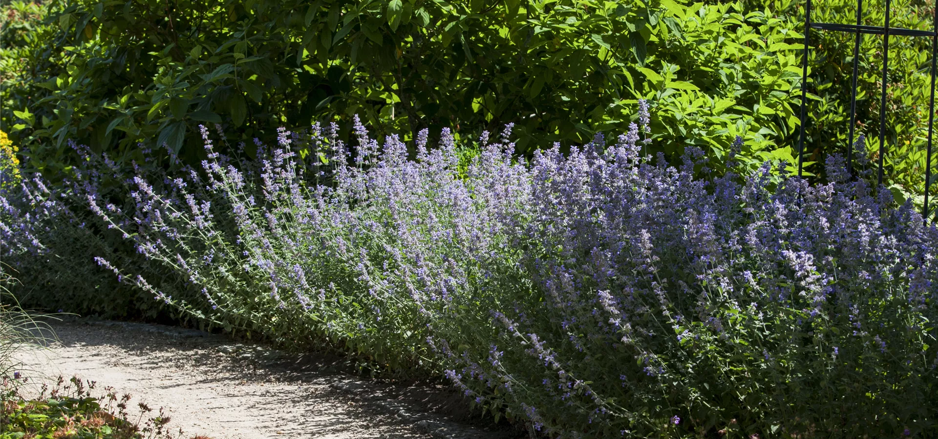 Wege im Garten