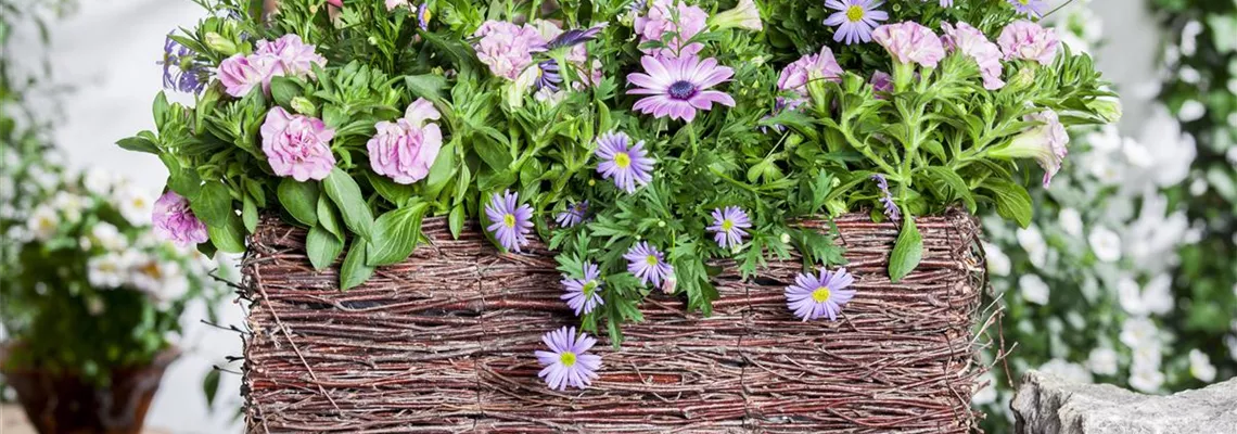 Frühling, Sommer, Herbst, Winter: der Balkon ist immer ein schöner Anblick